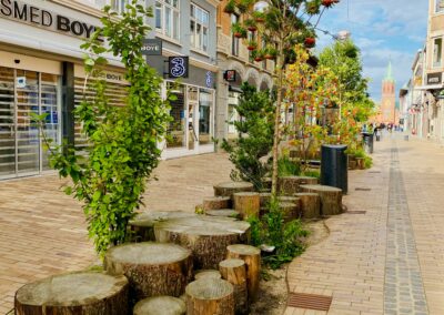 Silkeborg gågade: strategisk rådgivning