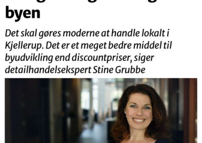 Ekspert udtalelse til avisen Midtjyllands Avis